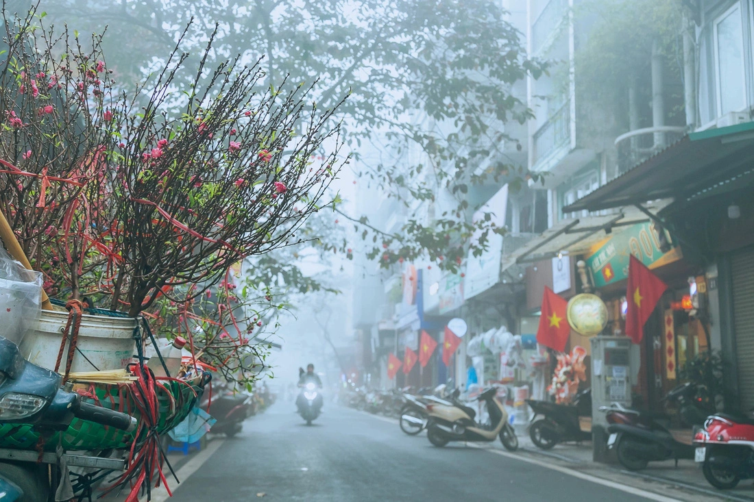 1-tet-ha-noi-qua-ong-kinh-cua-anh-lee-hyo-seung-1707206364606878483490.webp