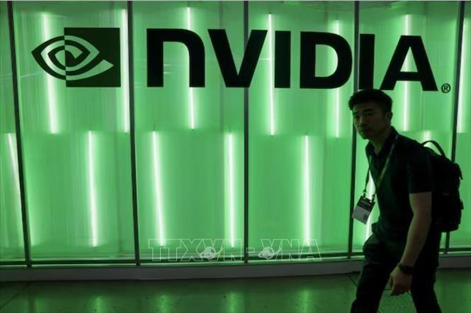 245nvidia.jpg
