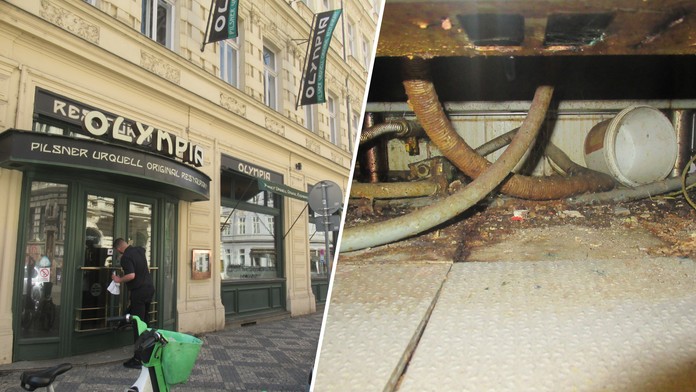 265aca76-56e6-4b88-a9d3-9499554e3a8f.jfif