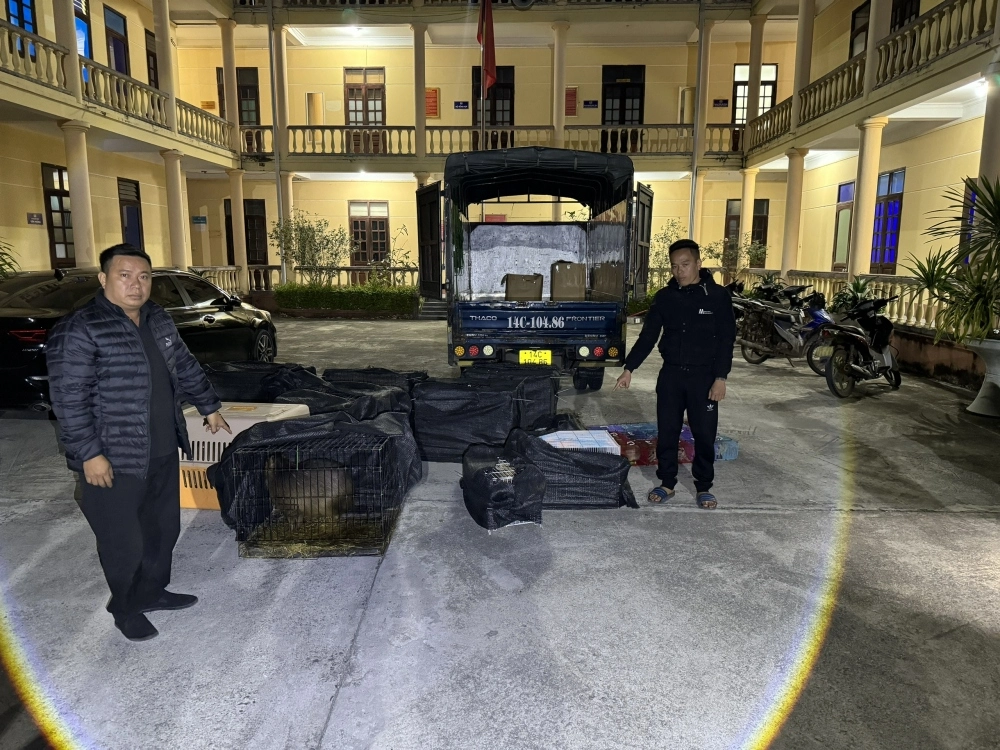 2_doi_tuong_van_chuyen_cung_tang_vat_tai_co_quan_cong_an.webp