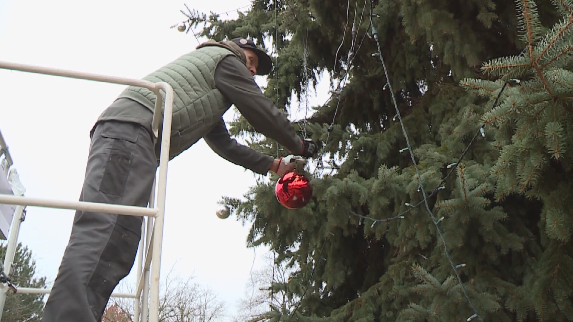 2a092307-7731-4db2-a6c1-9ef306699064.jfif