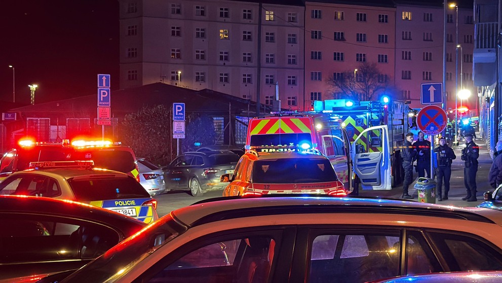 31382dda-2292-4f1a-b750-5b2ad4f33633.jfif