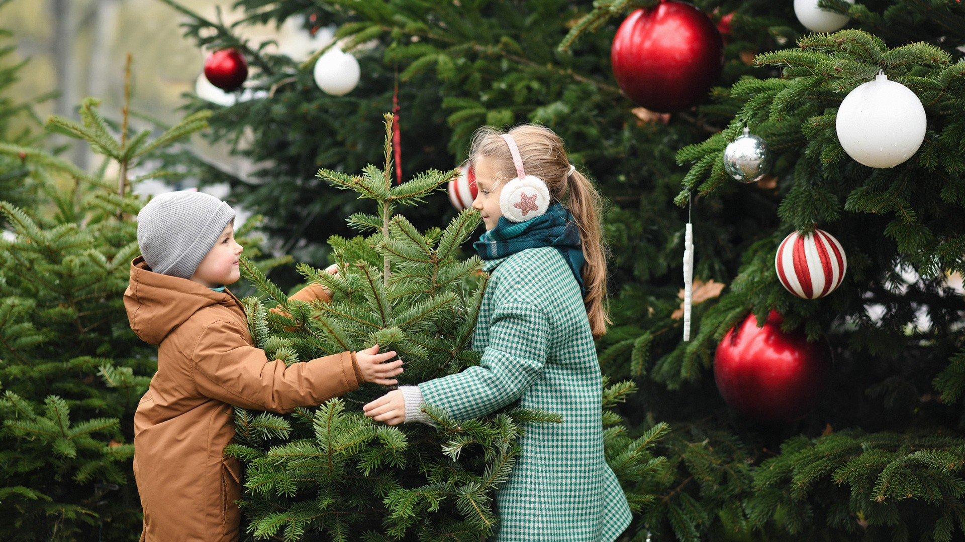 3b94517a-c0cb-4014-86c3-471ae6971dc3.jfif