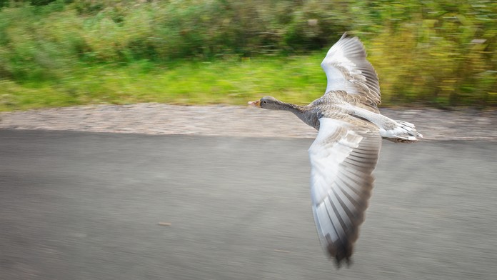 3c424d99-98c7-4eb0-9e5d-beca448b0008.jfif