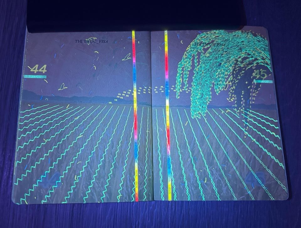 561390524_1241985644635411_5962118433339035134_n.jpg
