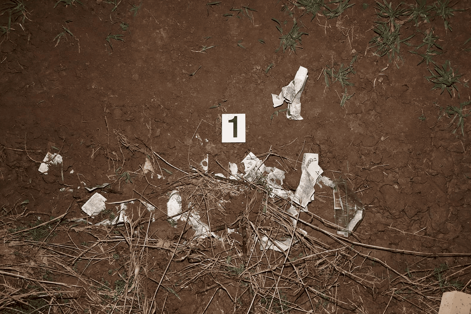 5.PNG