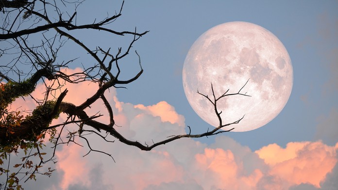 62616953-8bc9-4830-8eb3-30e7e6e7b7da.jfif