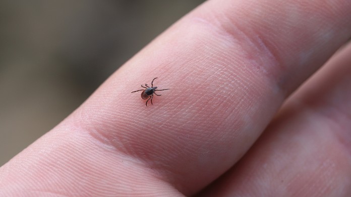 7b8228cd-1075-4c59-a701-4b79afbe3341.jfif