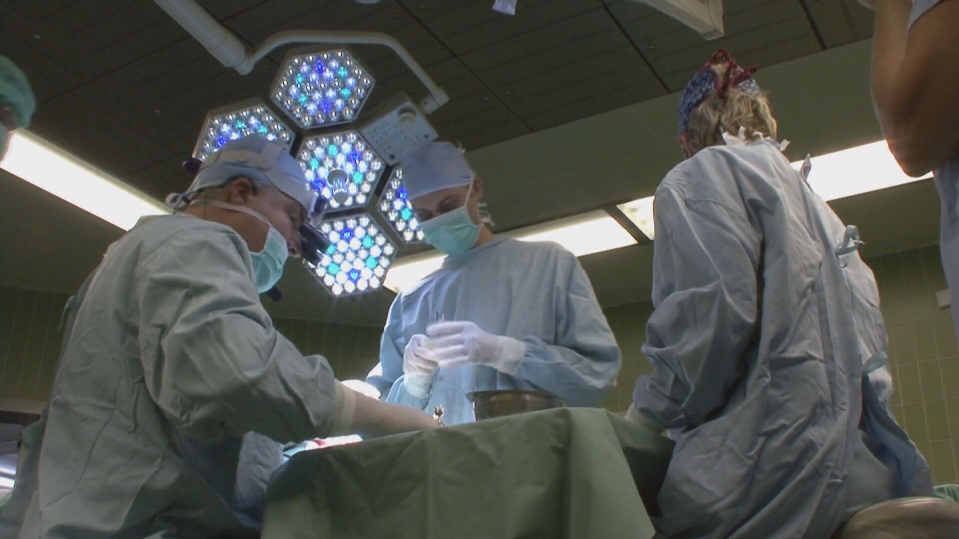 93d5fbd2-b85c-4bcb-9103-d0bd8bb682a6.jfif