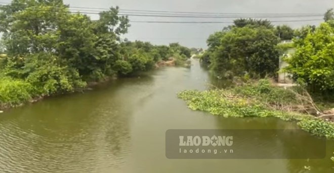 An-Mang-Thai-Binh2.jpg