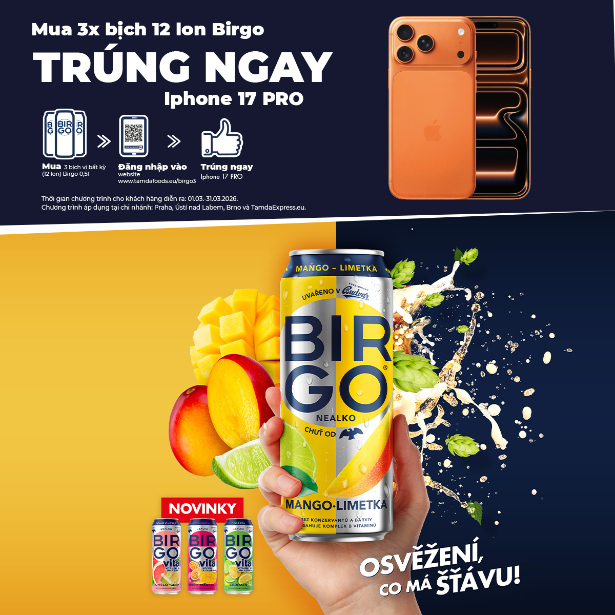 Birgo - VN - FB full text.jpg