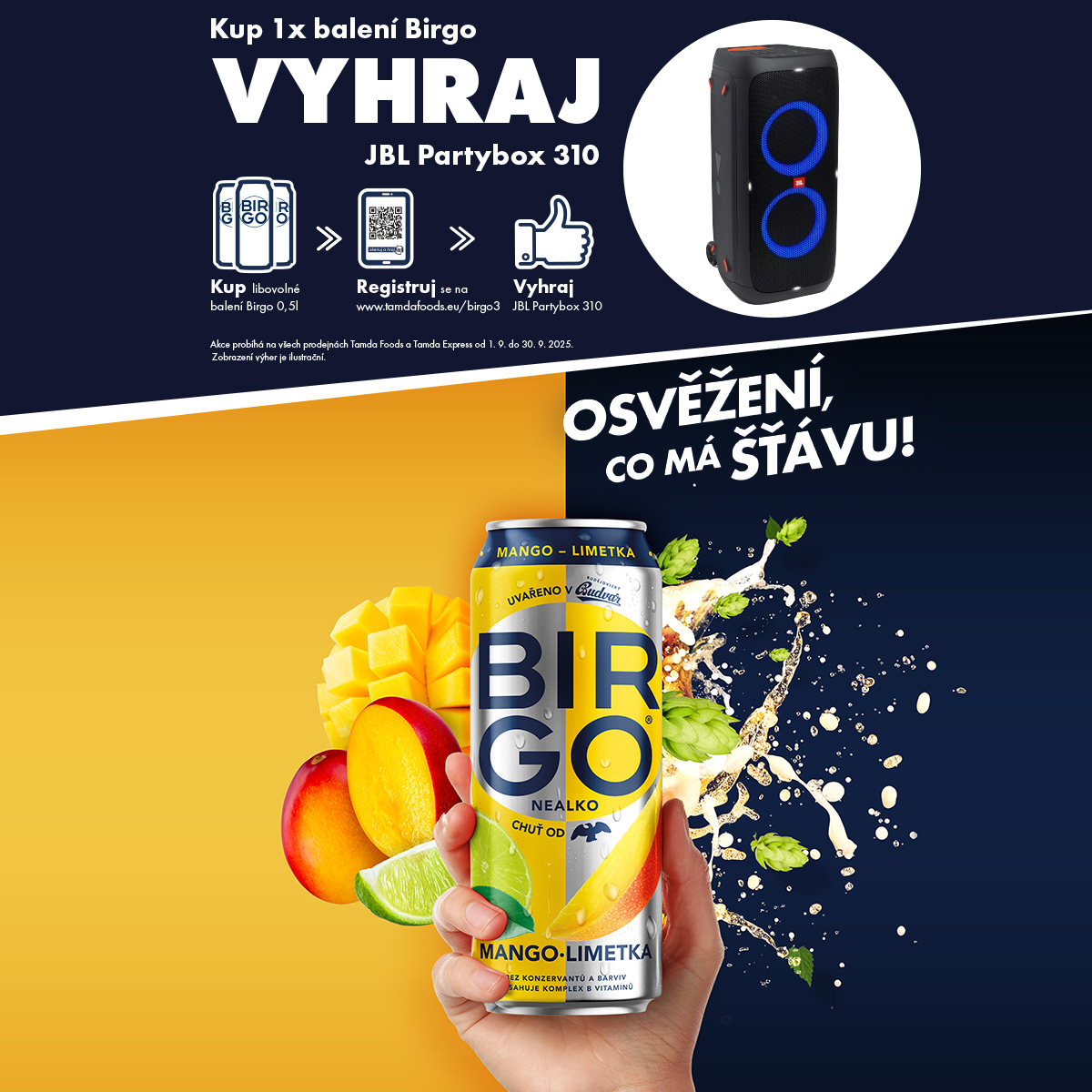 Birgo - cz - FB full text.jpg