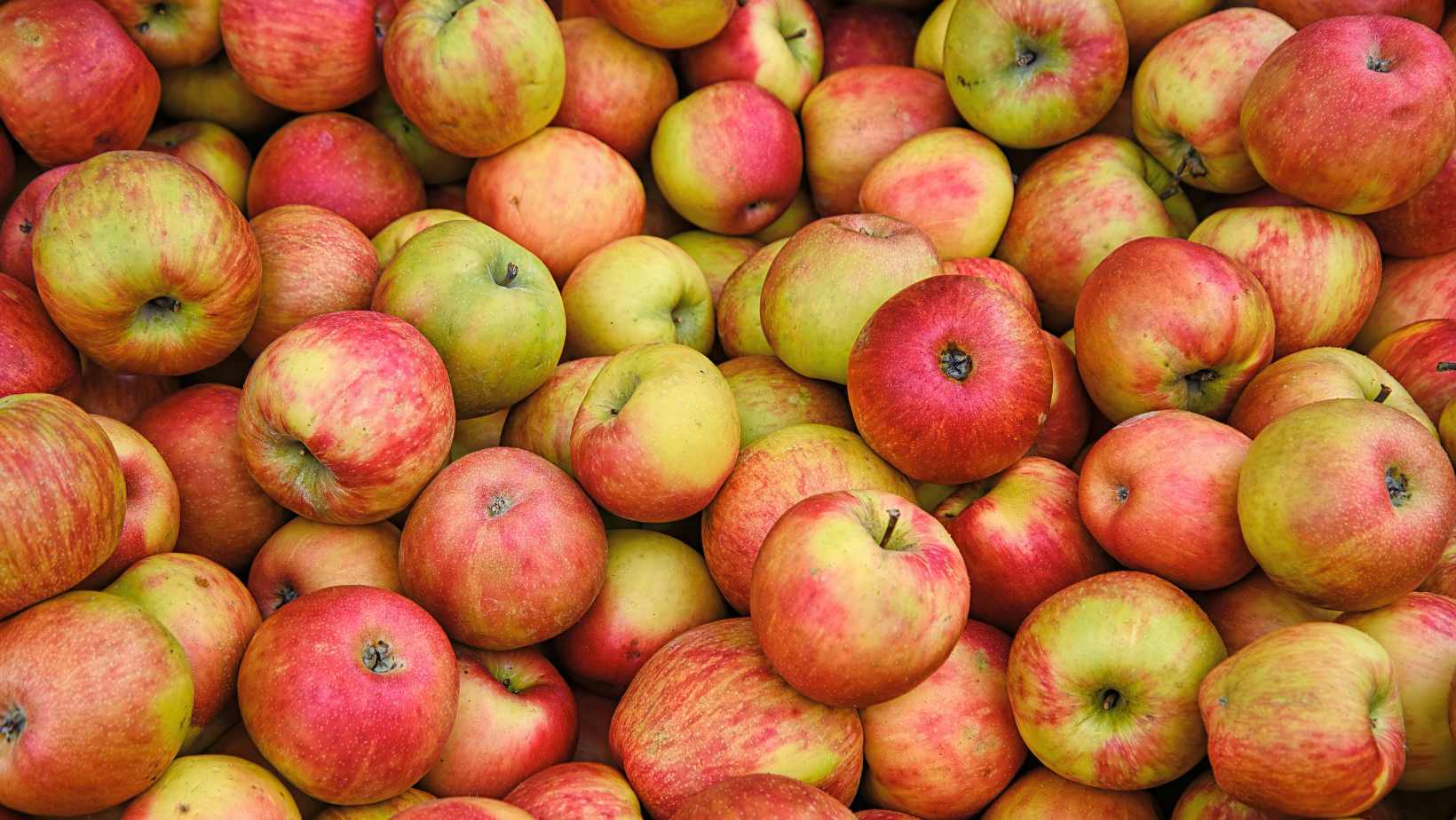 Czech-Apples-pesticides-test.jpg