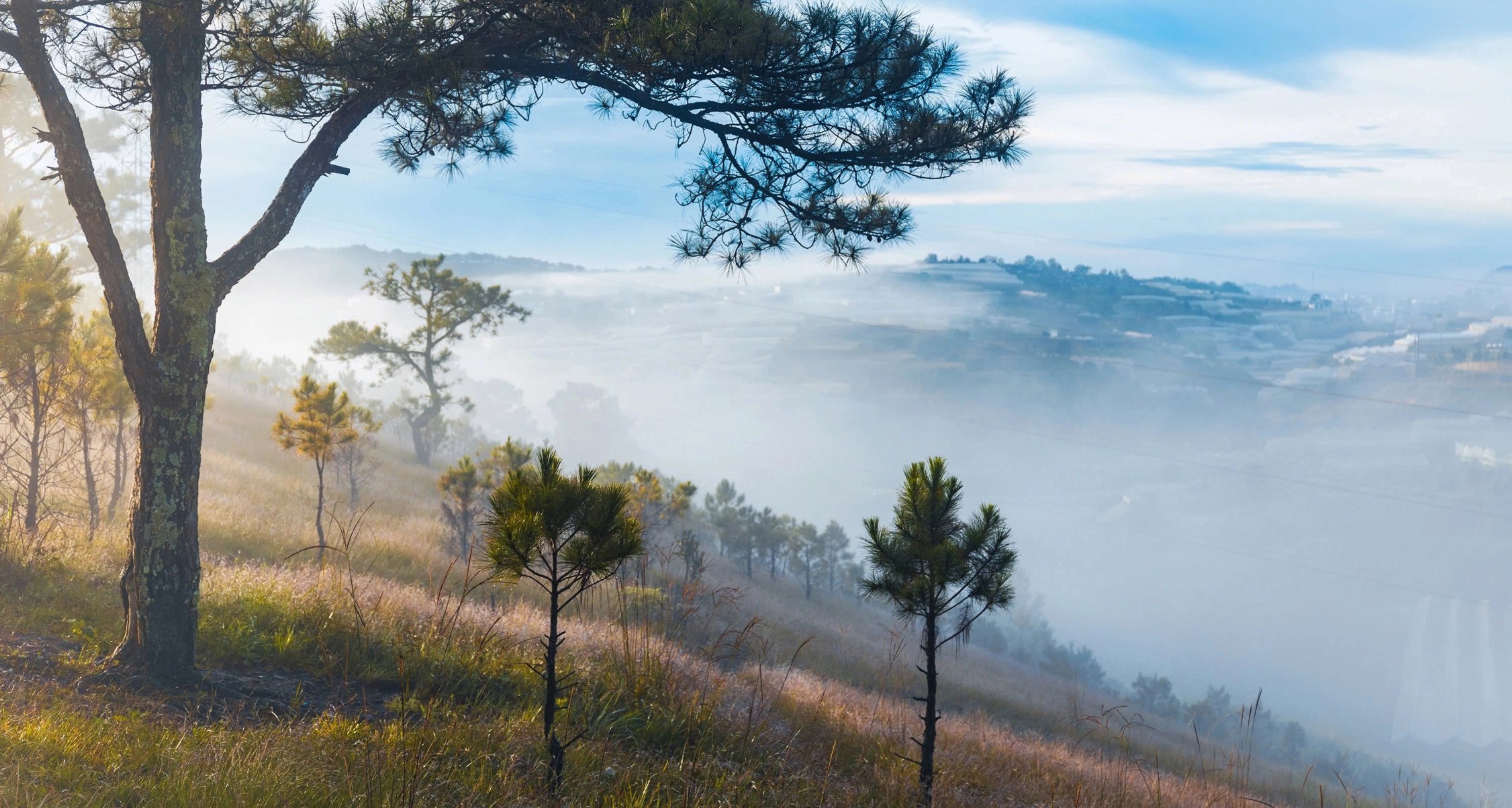 Da lat.jpg