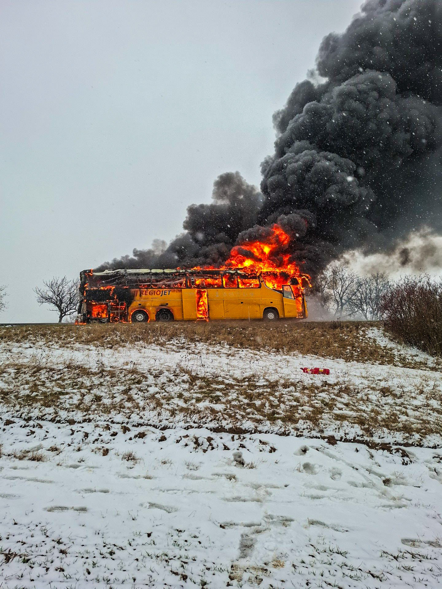 G_1aPvoWcAAGzTe.jfif