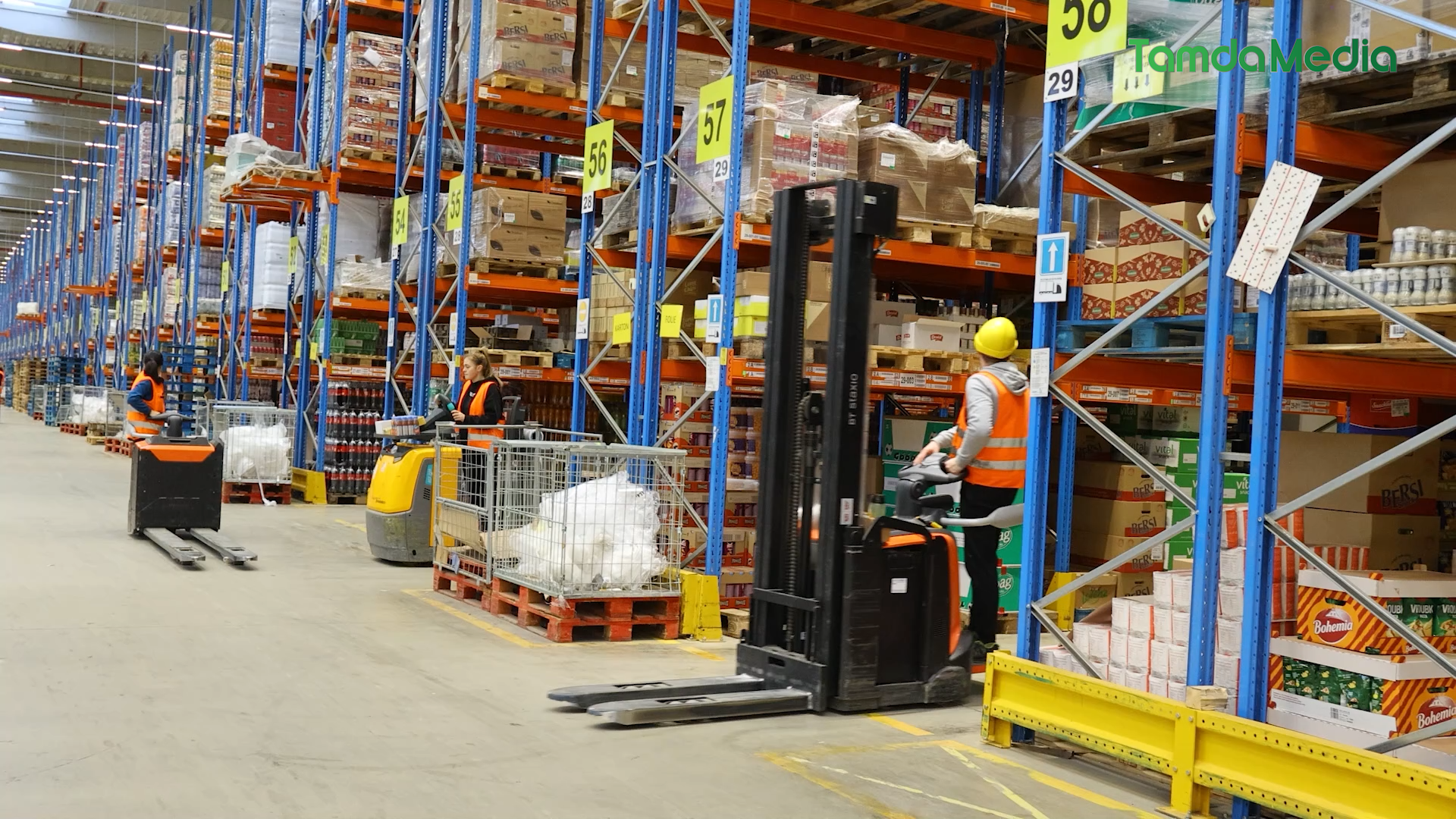 HINH THO.04_25_28_22.Still024.bmp