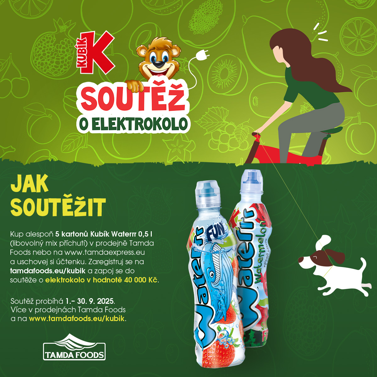 Kubík - cz -FB full text.jpg