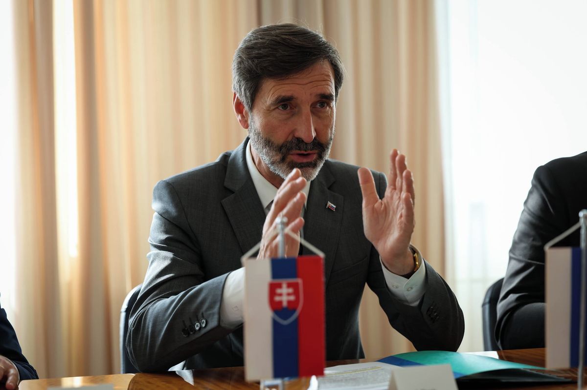 Ngoại trưởng Slovakia.jpeg