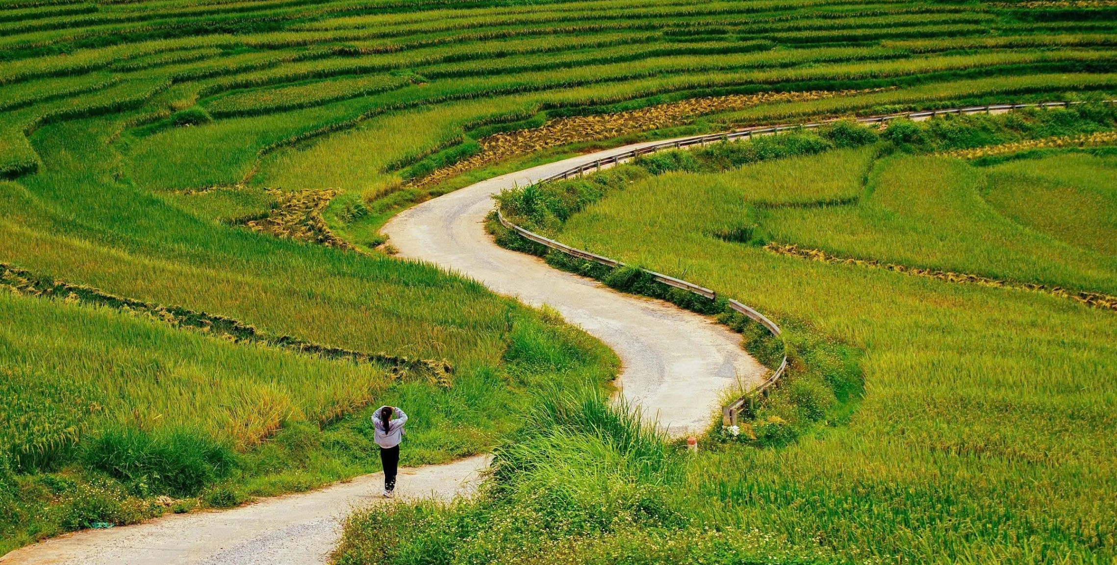 Puluong.jpg