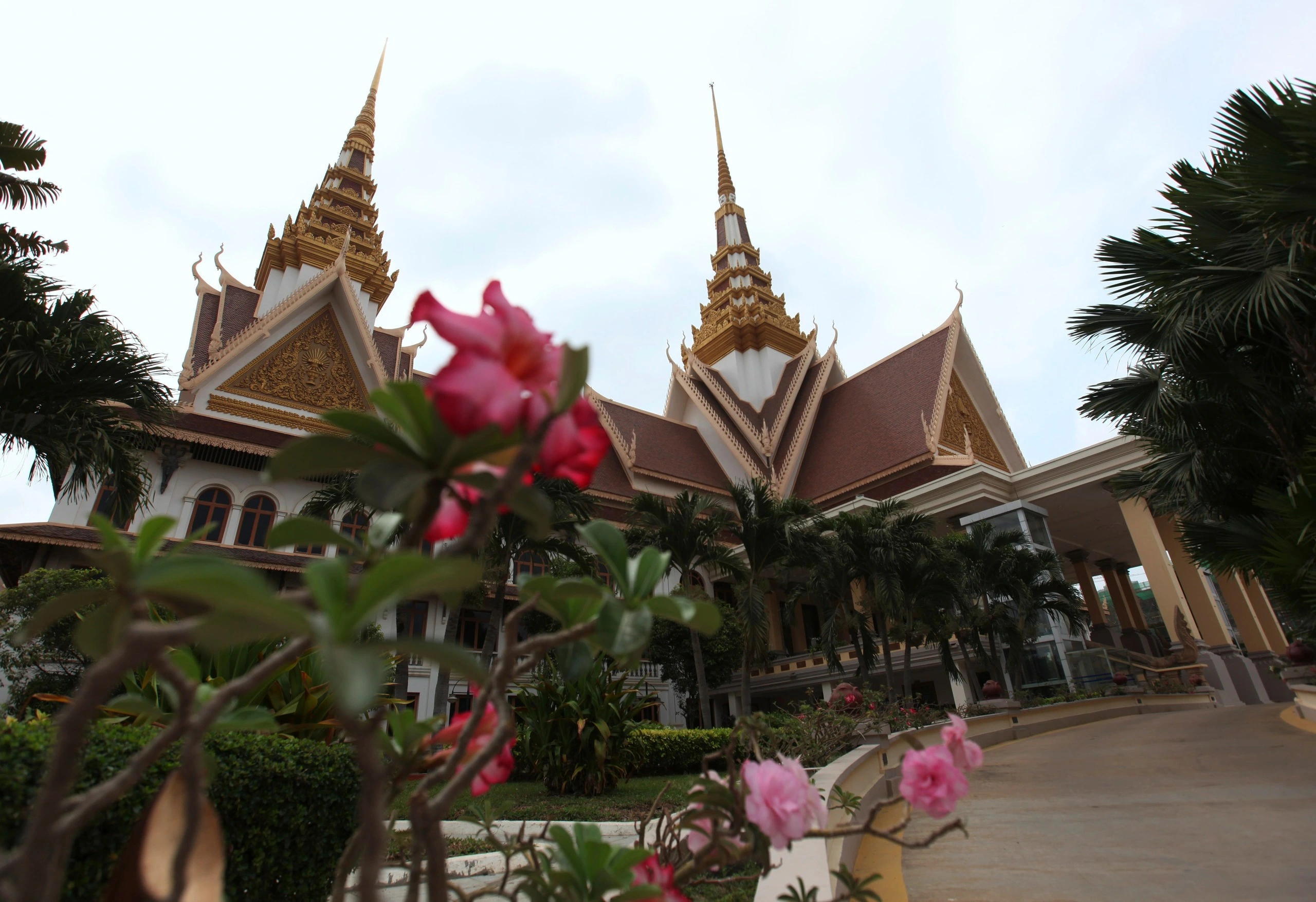Quốc hội Cam.webp