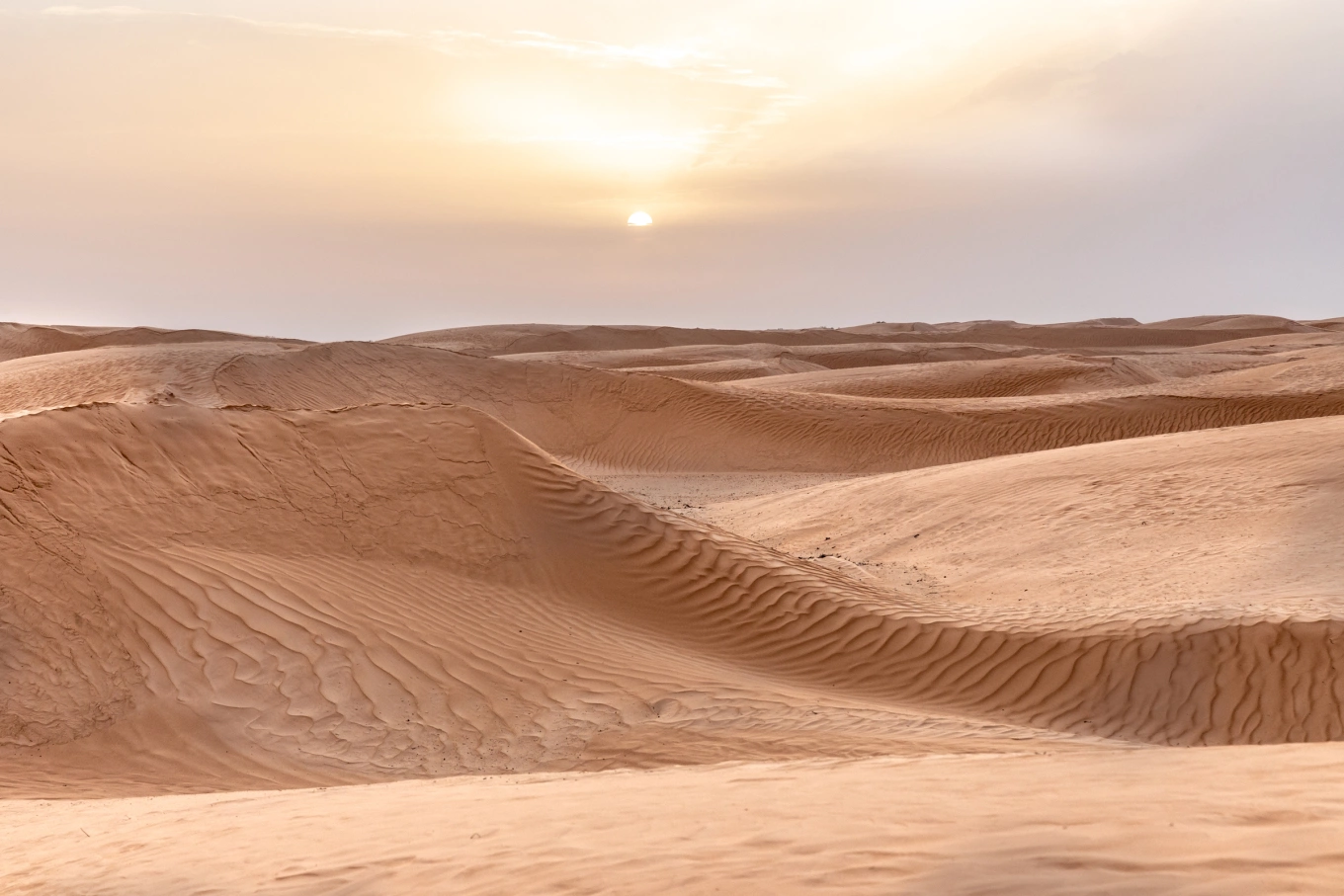 Sahara.webp