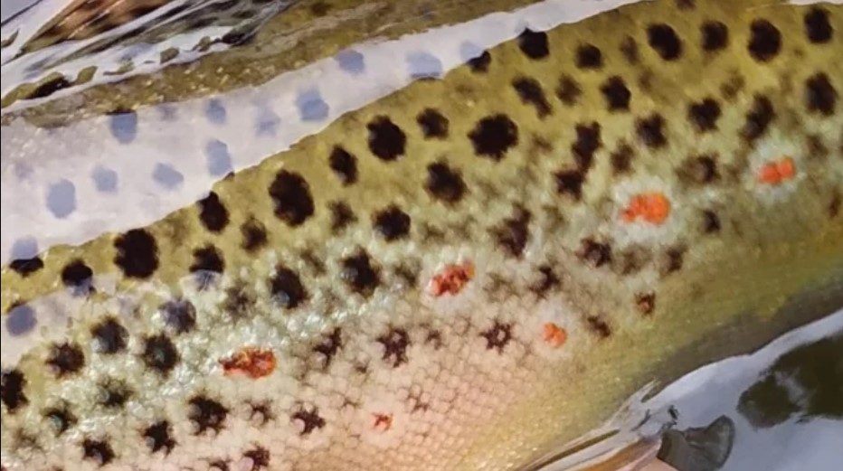 Screenshot 2026-02-16 142406.jpg