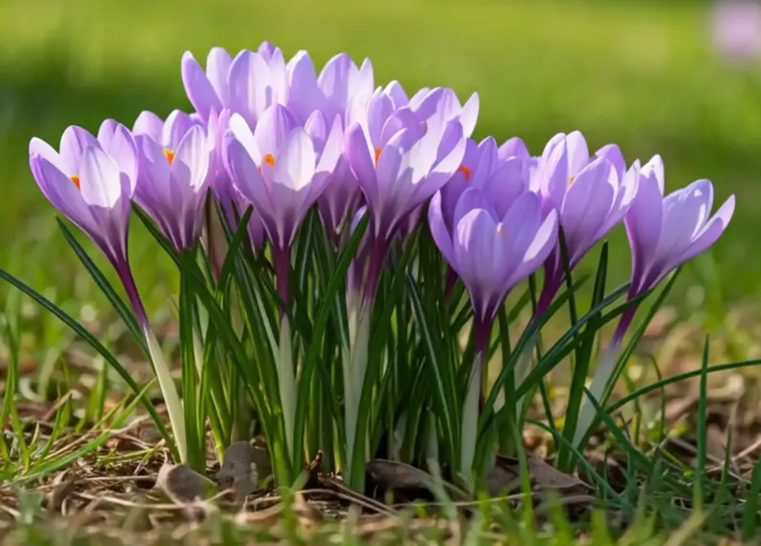 Screenshot 2026-03-25 094820.jpg