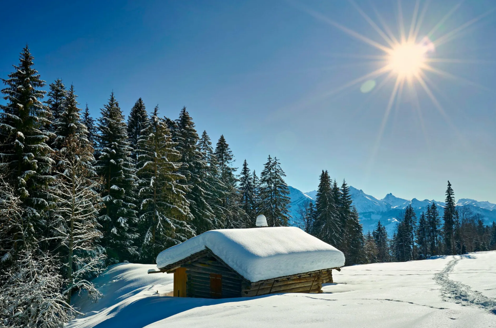 Screenshot 2026-03-26 083710.png