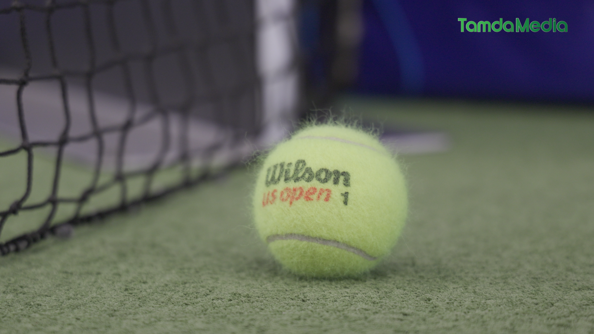 Sequence 17.00_20_22_16.Still011.bmp