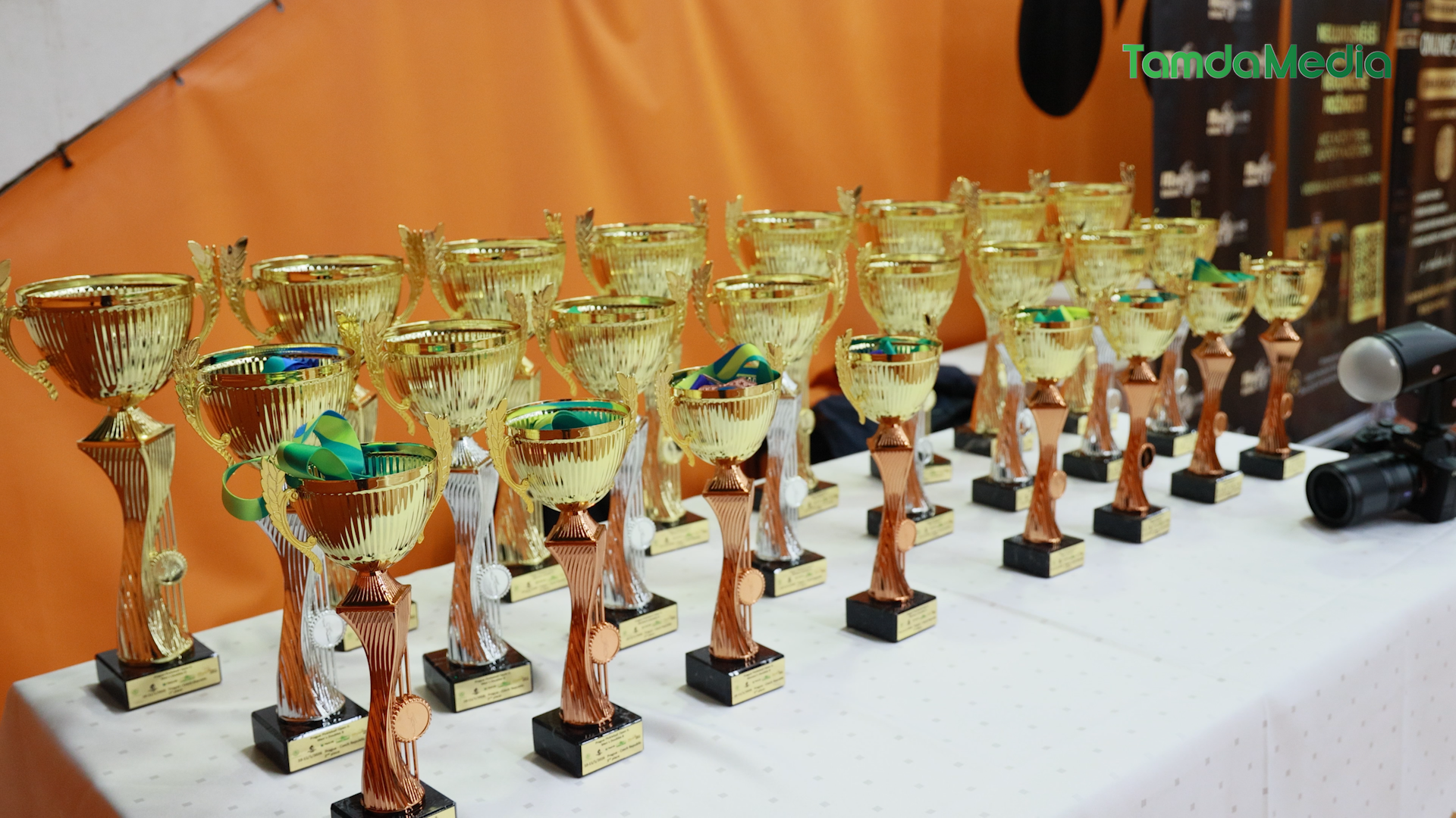 Sequence 17.00_29_41_08.Still013.bmp