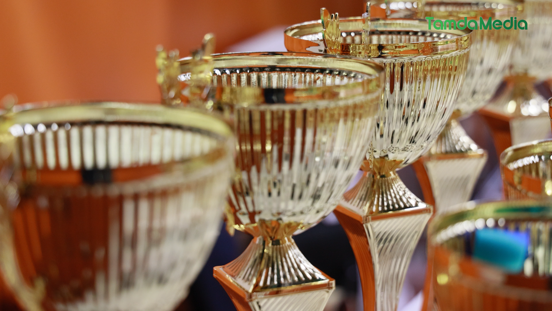 Sequence 17.00_30_05_15.Still014.bmp