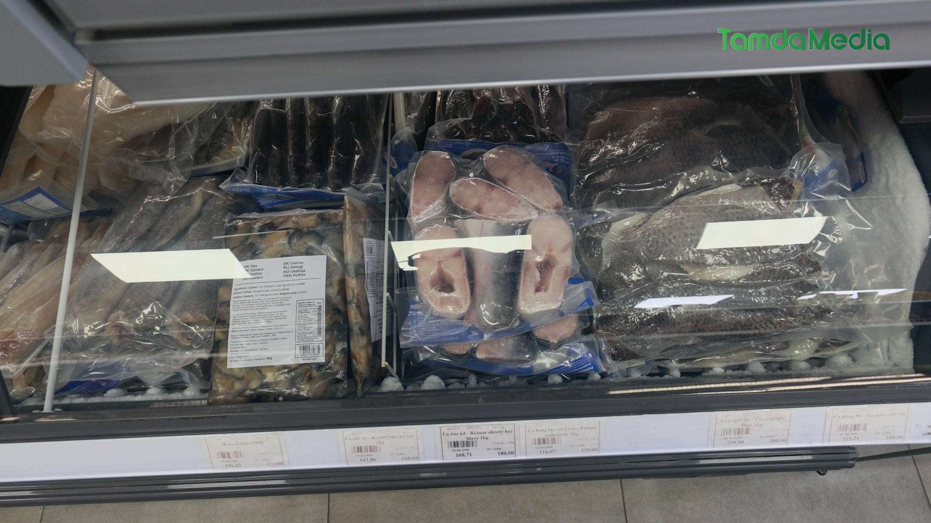 Sequence 17.01_01_09_24.Still005.bmp