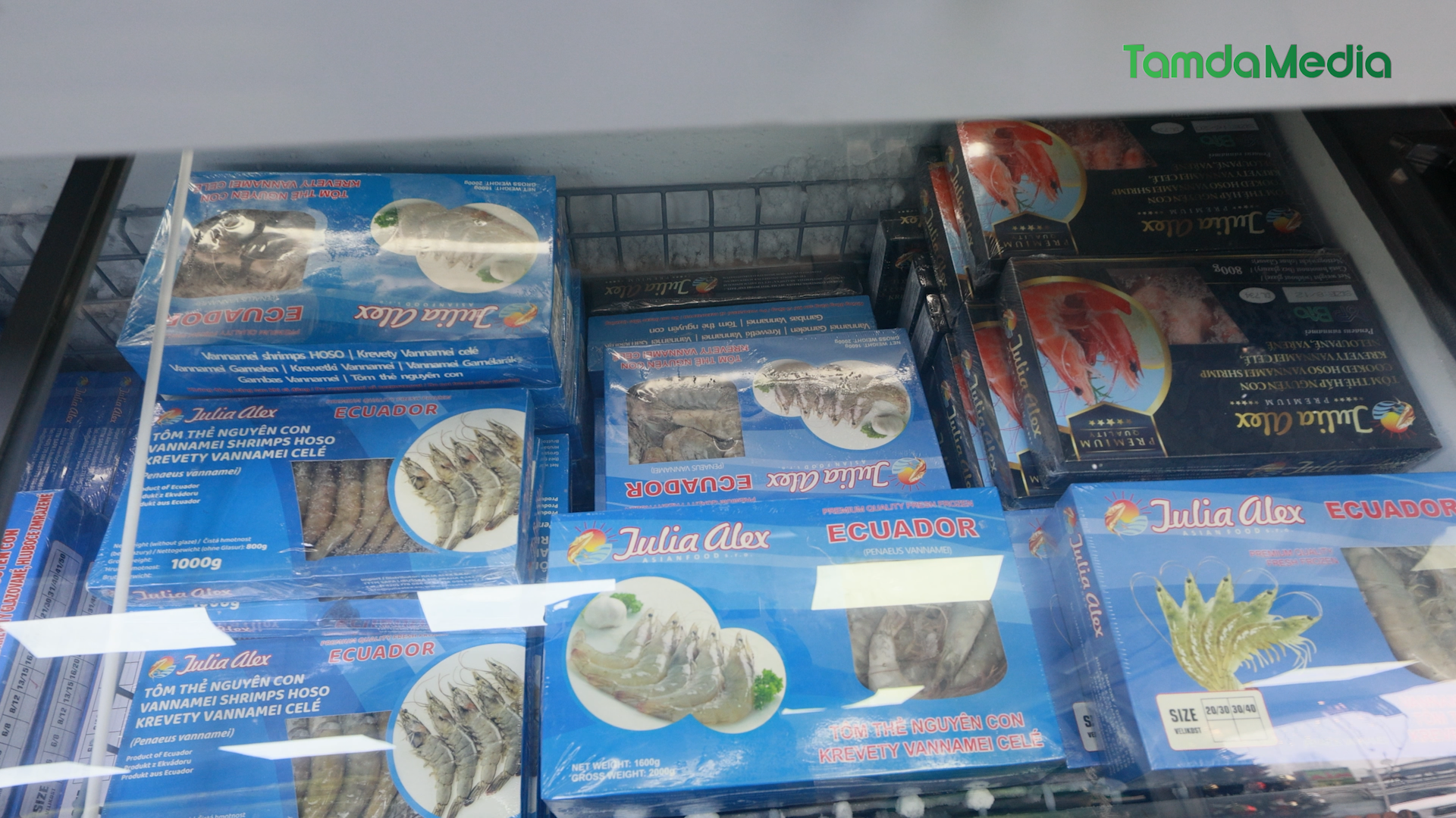 Sequence 17.01_02_17_21.Still010.bmp