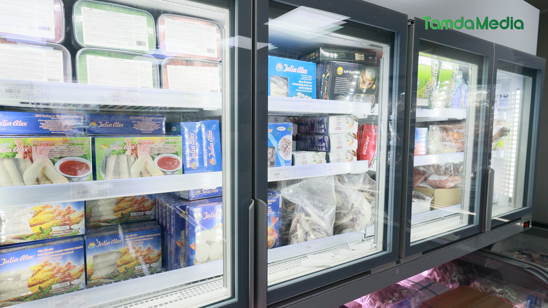 Sequence 17.01_02_39_11.Still013.bmp