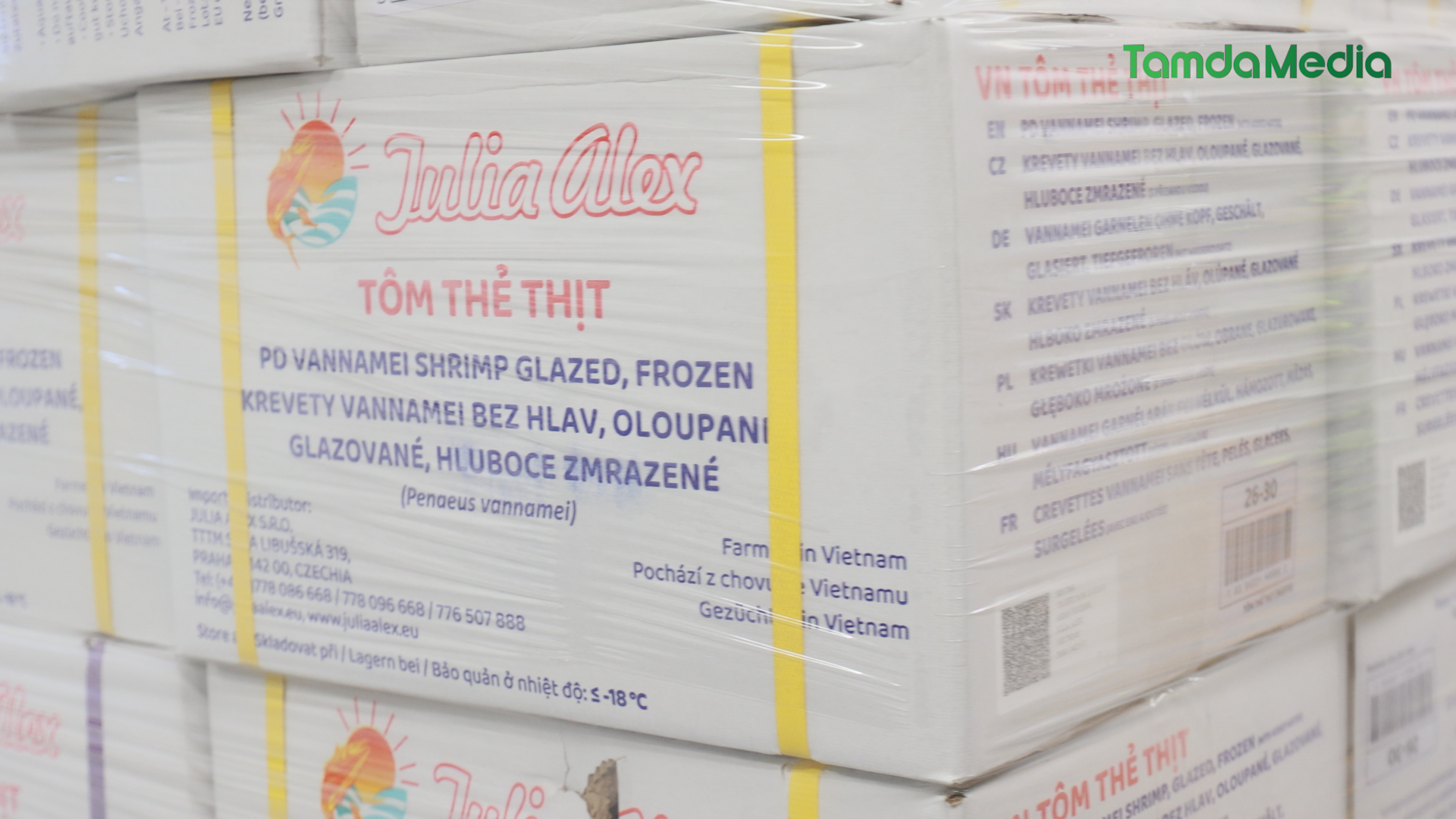 Sequence 17.01_03_37_03.Still016.bmp