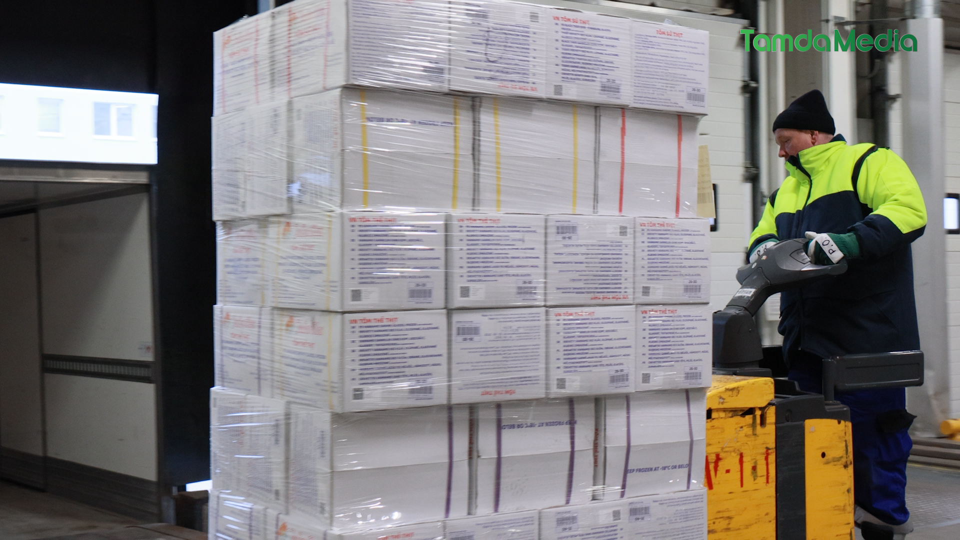 Sequence 17.01_03_42_07.Still017.bmp