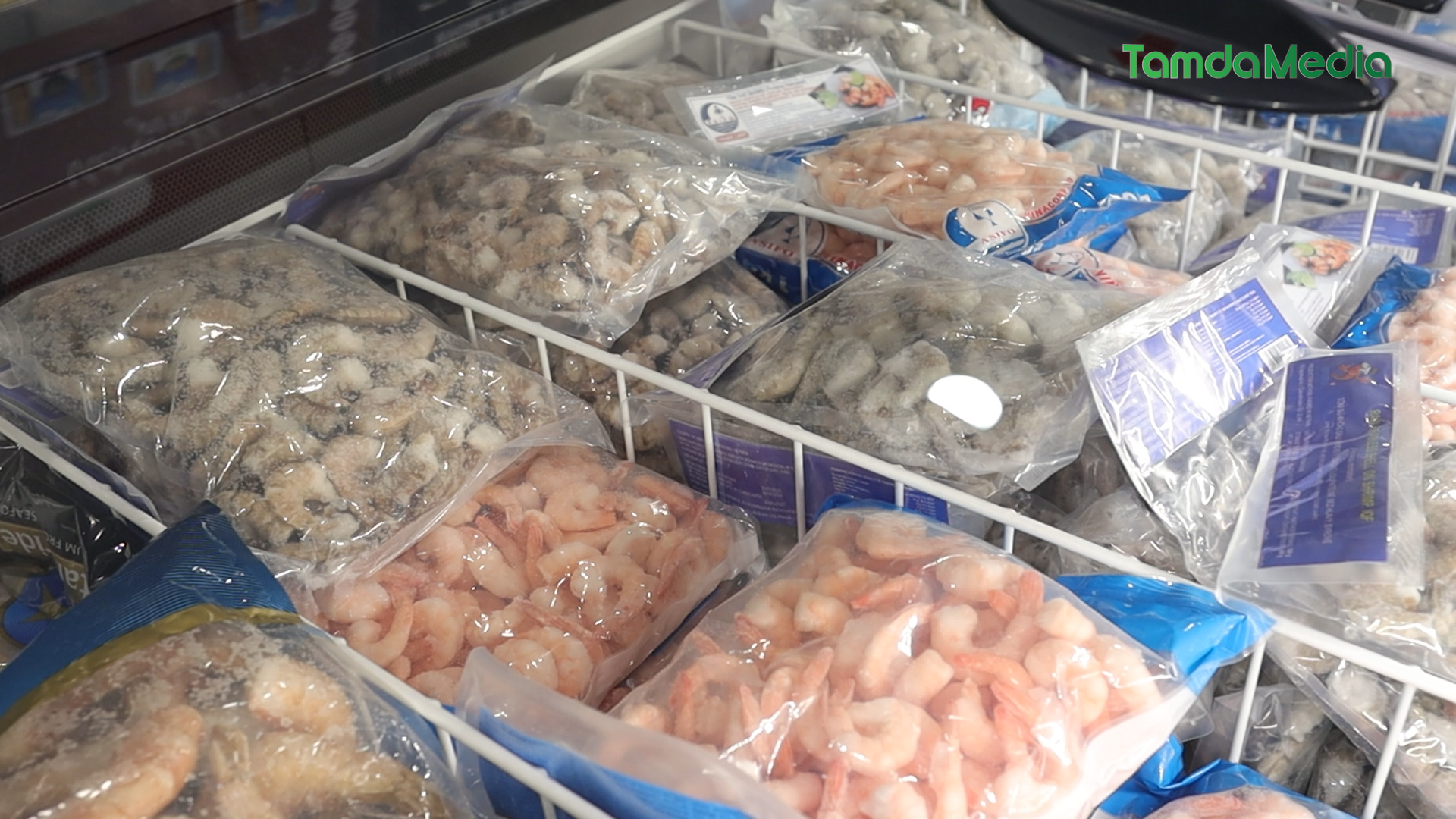 Sequence 19.00_48_54_28.Still005.bmp