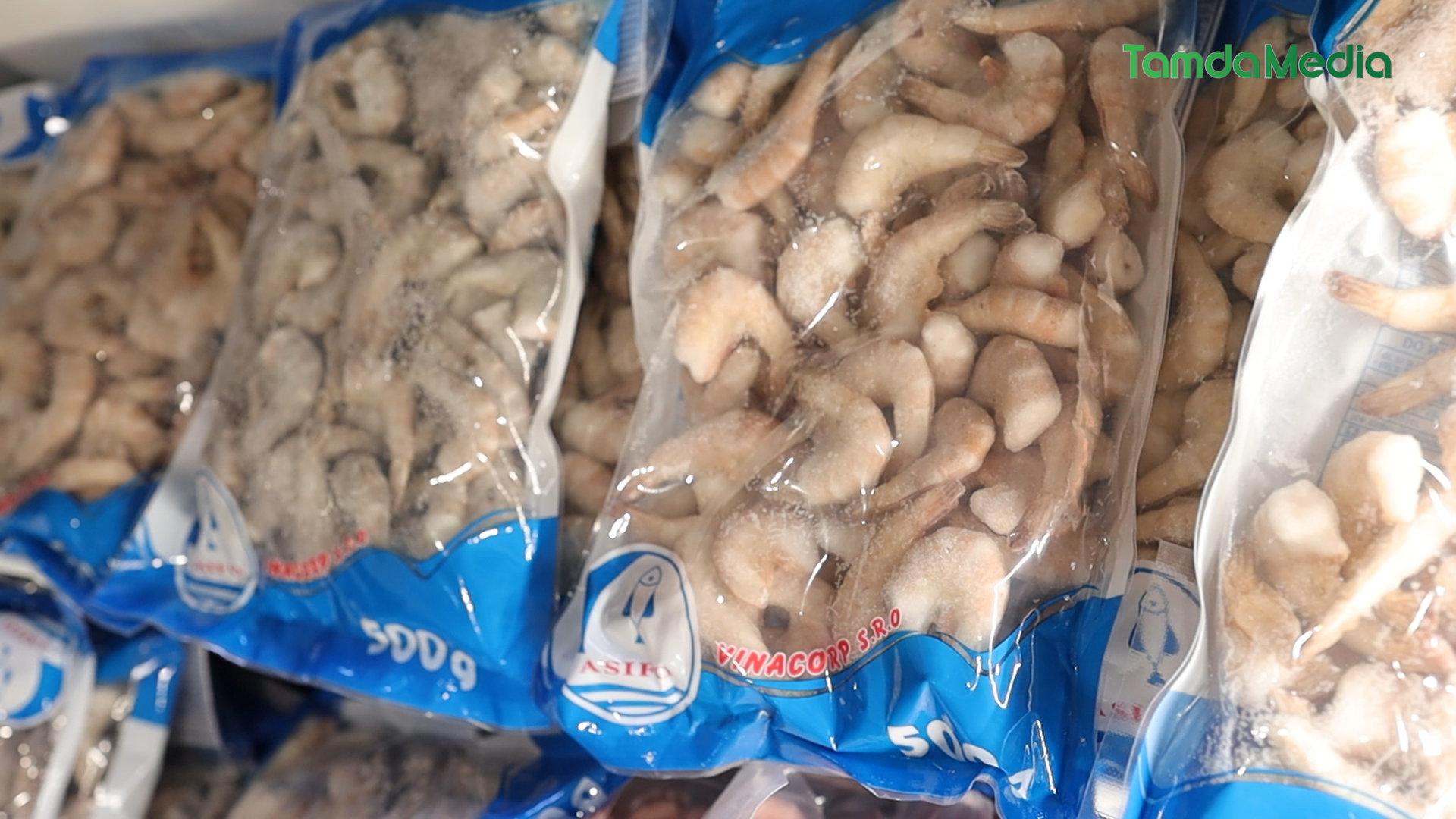 Sequence 19.00_49_04_13.Still006.bmp