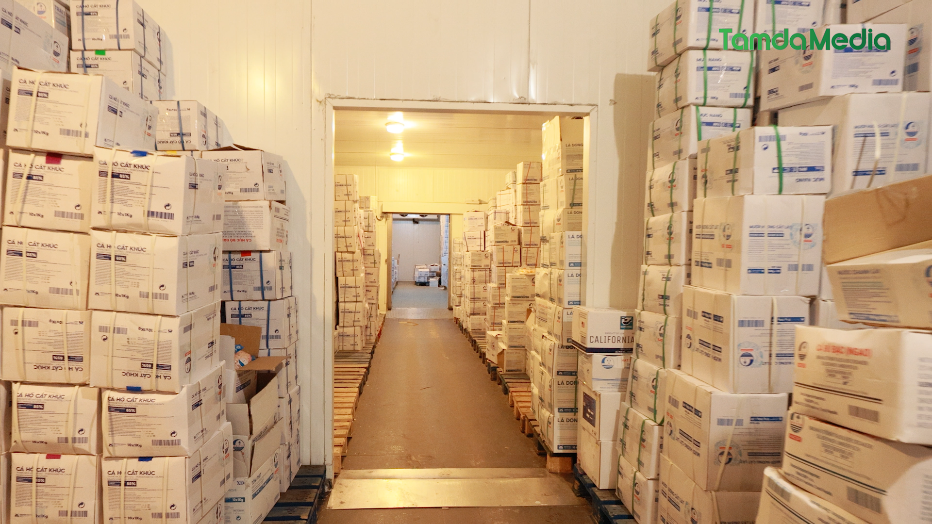 Sequence 19.00_50_45_11.Still011.bmp