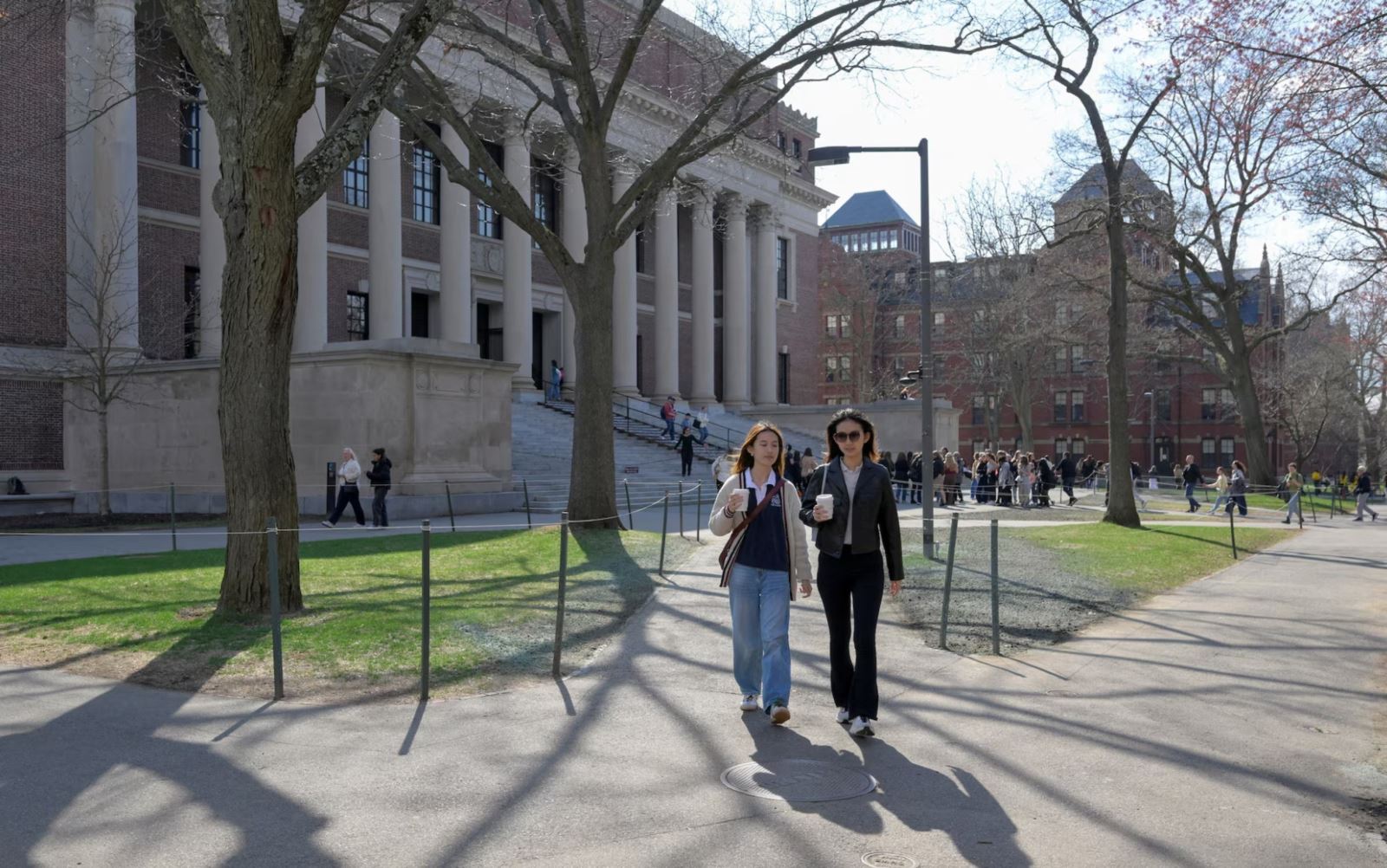 Sinh viên Harvard.jpg