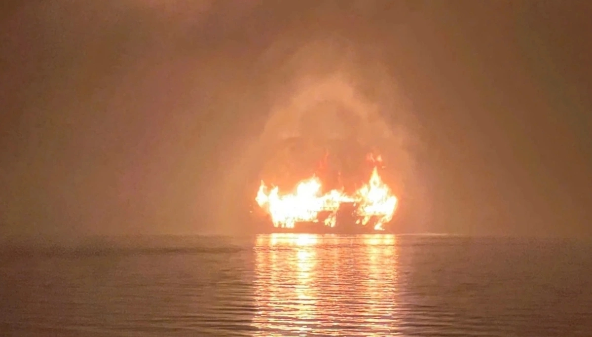 Tàu cháy HL.webp