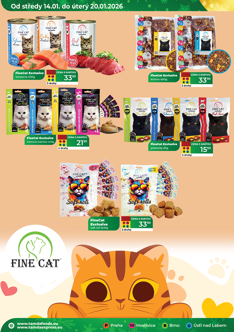 Catalog