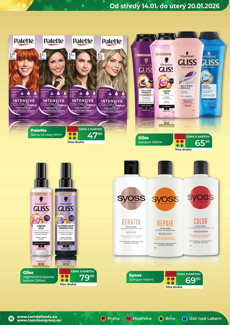 Catalog
