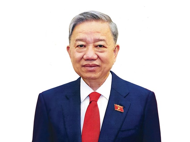 To-Lam-01.jpg