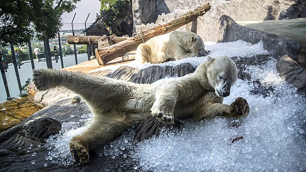 VIC70ab2d1c66_131738_9894123.jpg