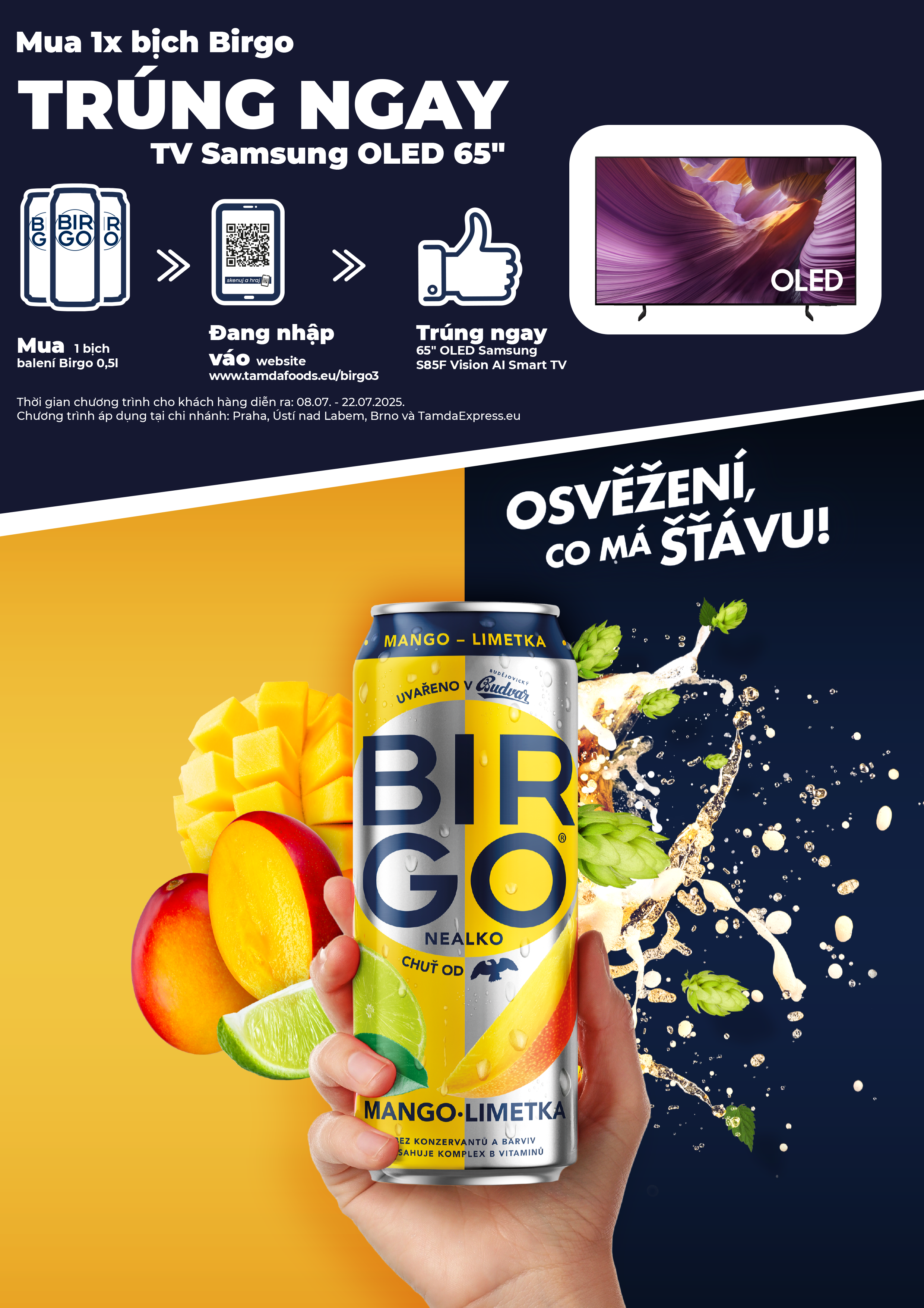 VN - BIRGO - A4 full text.png