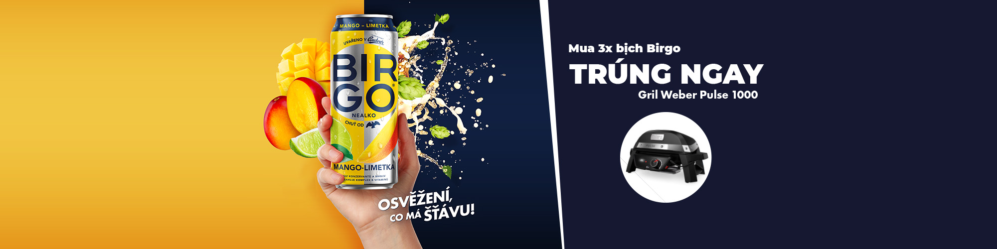 Mua Birgo – Trúng Gril Weber Pulse 1000!