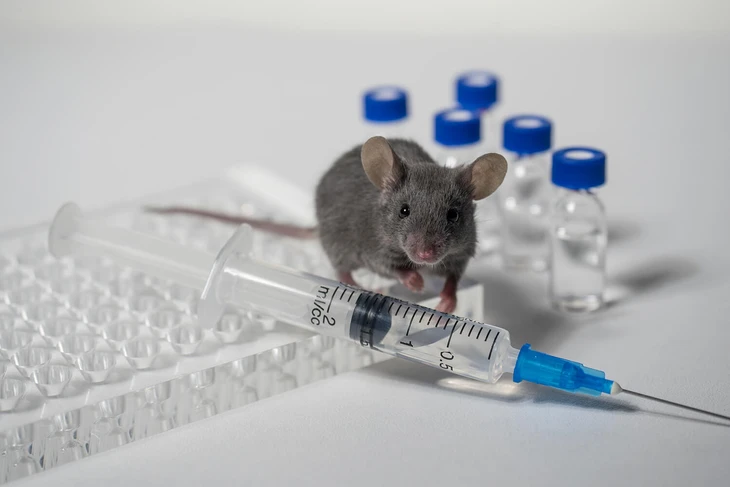 a-novel-in-vivo-model-of-covid-19-pathogenesis-and-treatment-1-1-17601901635681024281198.jpg.webp