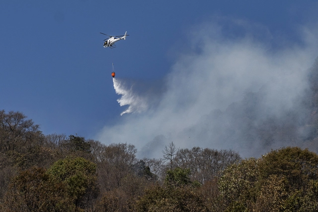 afp2024032734mf2kgv1highresmexicoenvironmentwildfires-1711620388628151329333.webp