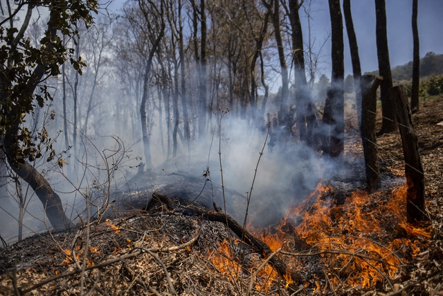 afp2024032734mf3npv1highresmexicoenvironmentwildfires-1711620388324955031818.webp
